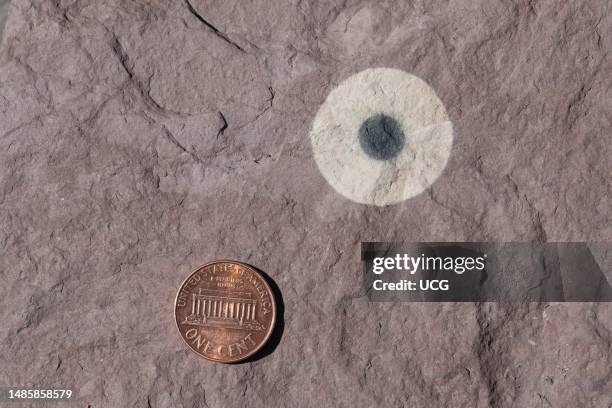 Circular Reduction spot on red siltstone. Pennsylvanian-Permian Maroon Formation, Colorado.