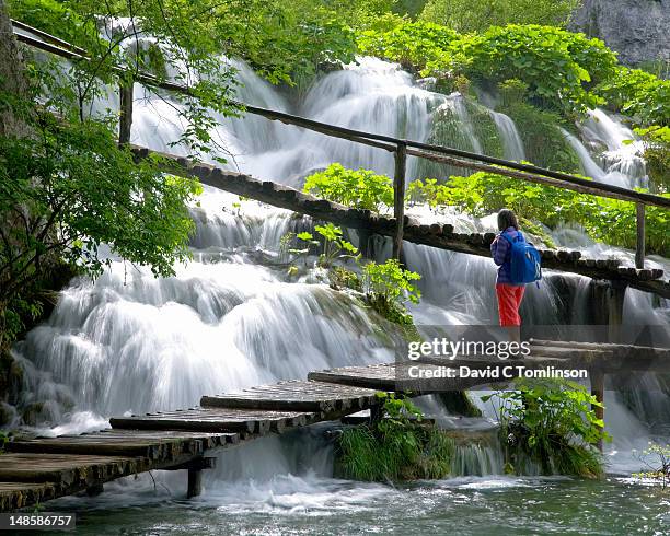 visitor on boardwalk precariously positioned over fast-flowing cascades at the upper end of kaluderovac lake. - plitvice lakes national park stock pictures, royalty-free photos & images