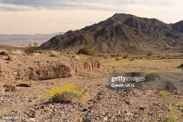 Entrance sign and mountains, Death Valley National Park, California.