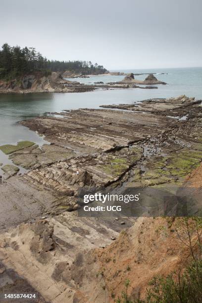 Wave-cut platform and right-lateral strike-slip faults, Sunset Bay State Park, Oregon. Rock is Eocene Coaledo Formation.