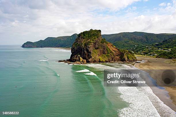 lion rock, piha beach. - auckland stock pictures, royalty-free photos & images