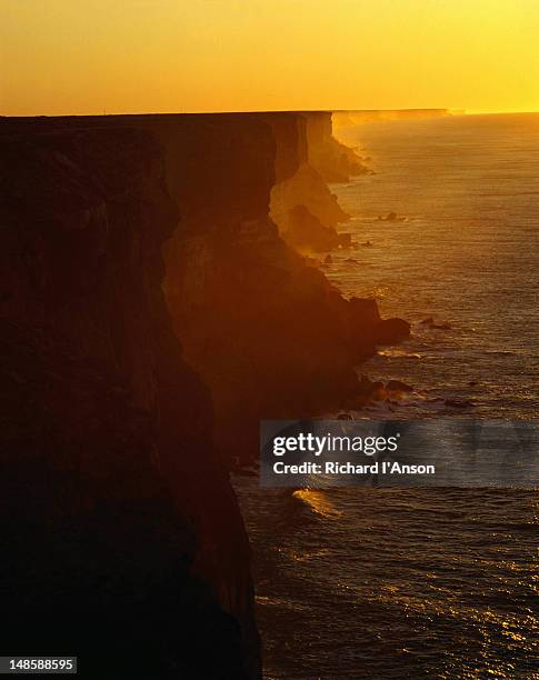 bunda cliffs on great australian bight coast at sunrise. - bunda cliffs stock pictures, royalty-free photos & images