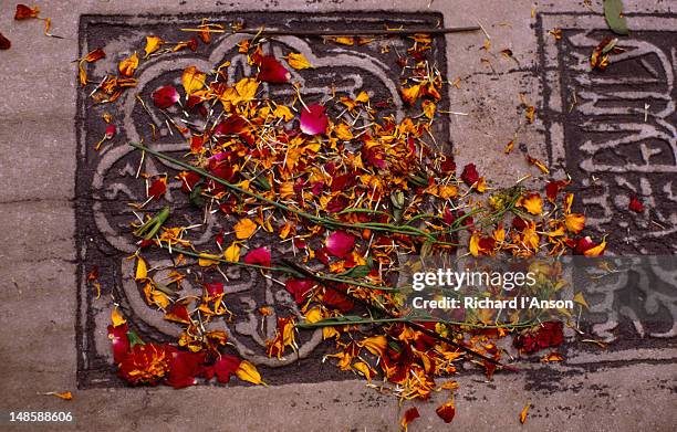 floral offerings on a tomb in the shrine of nizam-ud-din chishti in new delhi. chishti was a muslim sufi saint who died in 1325. - national capital territory of delhi stock pictures, royalty-free photos & images