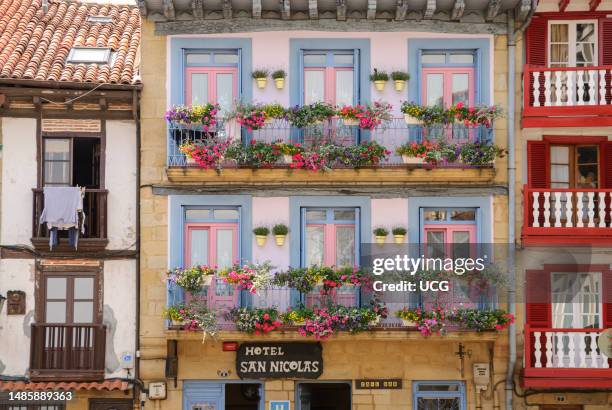 Flower pots on balcony of small hotel, Hondarribia, Spain.
