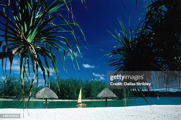 thatched huts on the beach at the intercontinental hotel on erakor lagoon. - shefa stock pictures, royalty-free photos & images