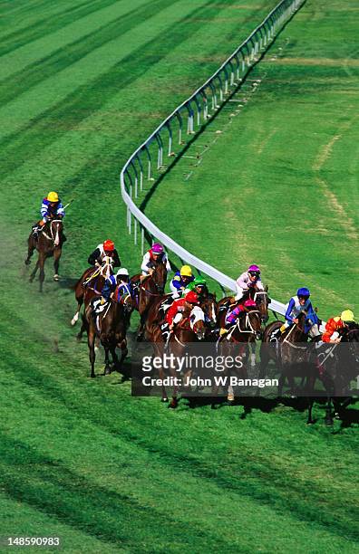 horseracing at moonee valley racetrack. - moonee stock pictures, royalty-free photos & images