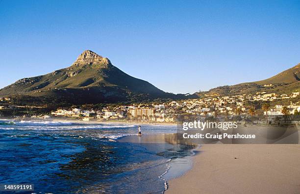 camps bay with lion's head in background. - camps bay stock-fotos und bilder