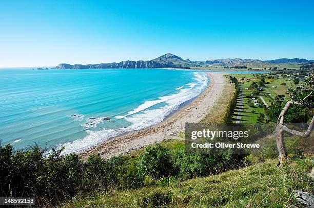 freedom camping at tolaga bay. - gisborne stock pictures, royalty-free photos & images