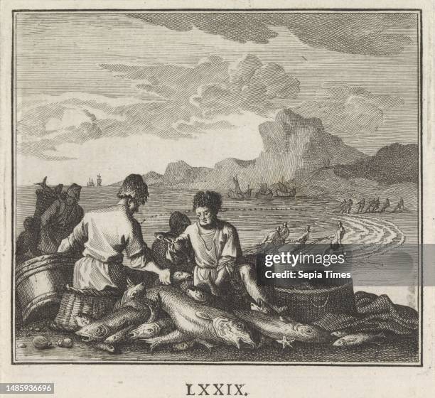 Sorting Fish Drawing Sorting Fish Photos and Premium High Res Pictures - Getty Images