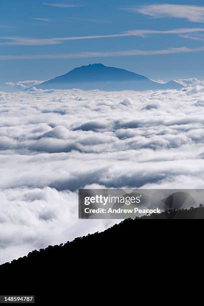mt meru, from karanga camp, mount kilimanjaro. - mt kilimanjaro stockfoto's en -beelden