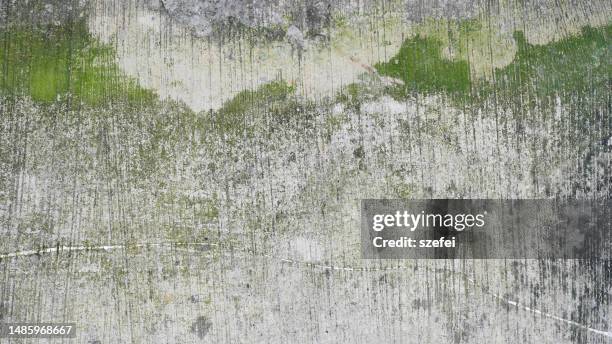 rusty cement wall with algae moss - musgo imagens e fotografias de stock