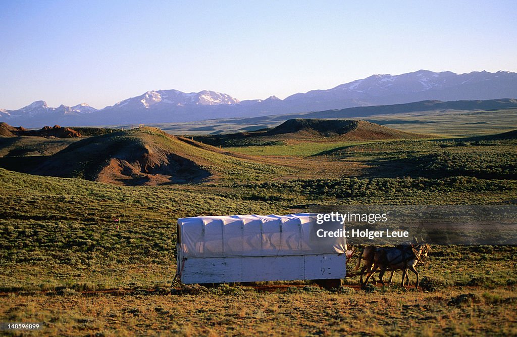 Mormon horse carriage, Mormon Pioneer Wagon Train to Utah, near South Pass.