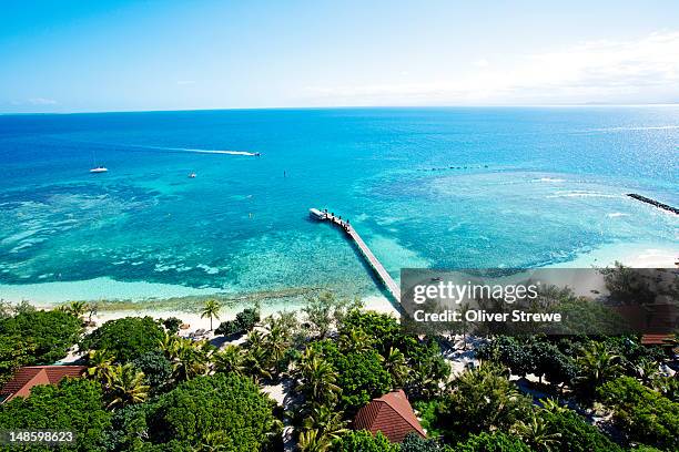 view from top of amedee island lighthouse. - new caledonia stock pictures, royalty-free photos & images