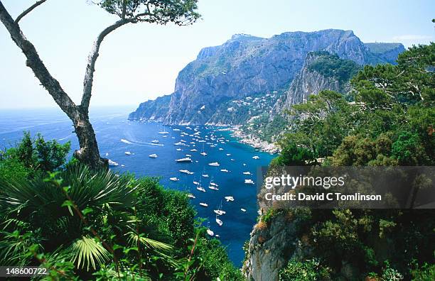 southern coast from belvedere di tragara. - capri stock-fotos und bilder