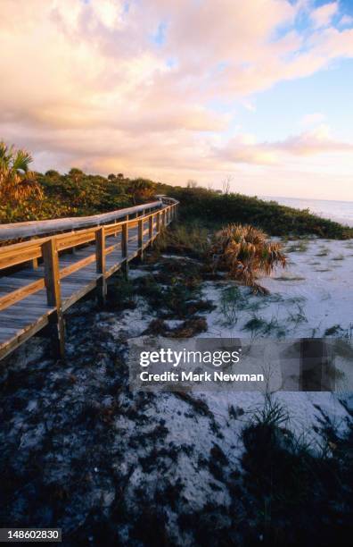 barefoot beach preserve at sunset. - naples stockfoto's en -beelden