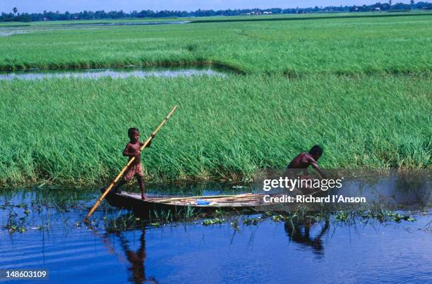 Deepwater Rice 410 Meghna River Stock Photos, High-Res Pictures, and Images - Getty Images