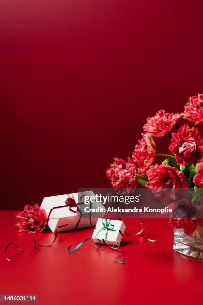 bouquet of red spring tulip flowers in vase ands mall two white gift boxes on solid red table with dark vinous background - beauty cosmetic luxury studio background stock pictures, royalty-free photos & images