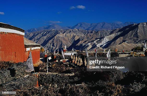 view over the flat rooftops of lo manthang, the capital of upper mustang, situated on a plateau at 3840m. - lo manthang stock pictures, royalty-free photos & images