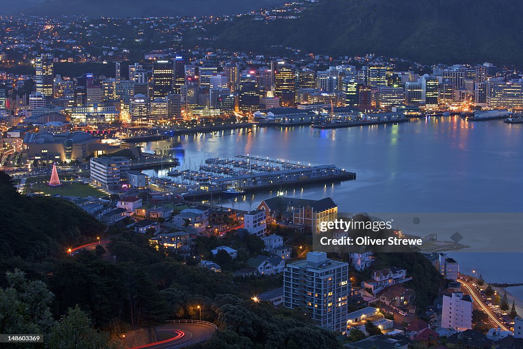 Wellington city and harbour from Mt. Victoria at night.