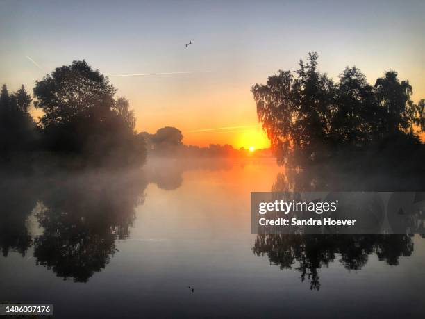 water reflection und the sunrise - elbe stock-fotos und bilder