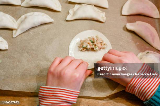 Dumpling Hand 646 Small Dumplings Stock Photos, High-Res Pictures, and Images - Getty ...