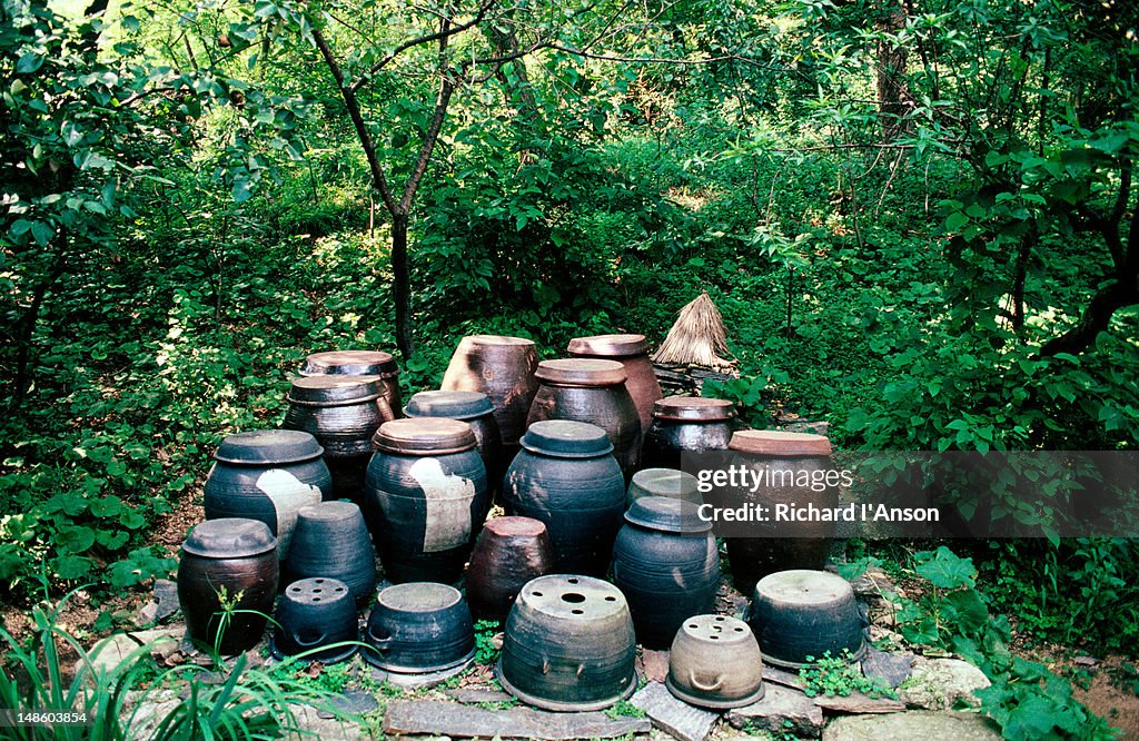 Kimchi pots at the Korean Folk Museum. These ceramic pots are used for the preparation of 'kimchi' the traditional dish of vegetables soaked in salt water.