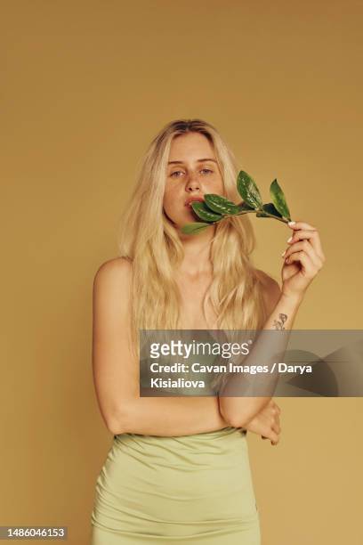 blonde freckles woman and natural make-up holding leaves - face close up bildbanksfoton och bilder