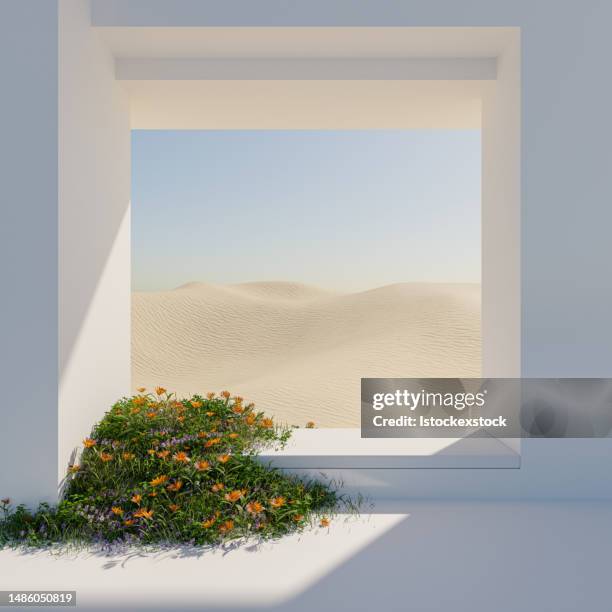 abstract pastel of nature, flowers leaves and tree plants with podium stand platform. surreal desert natural landscape background. scene of desert with oasis land with minimal design. 3d render. - talarstol bildbanksfoton och bilder