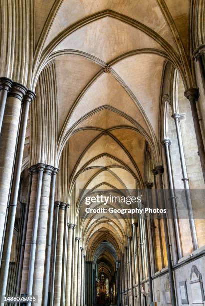Vaulted ceiling roof inside cathedral church, Salisbury, Wiltshire, England, UK.
