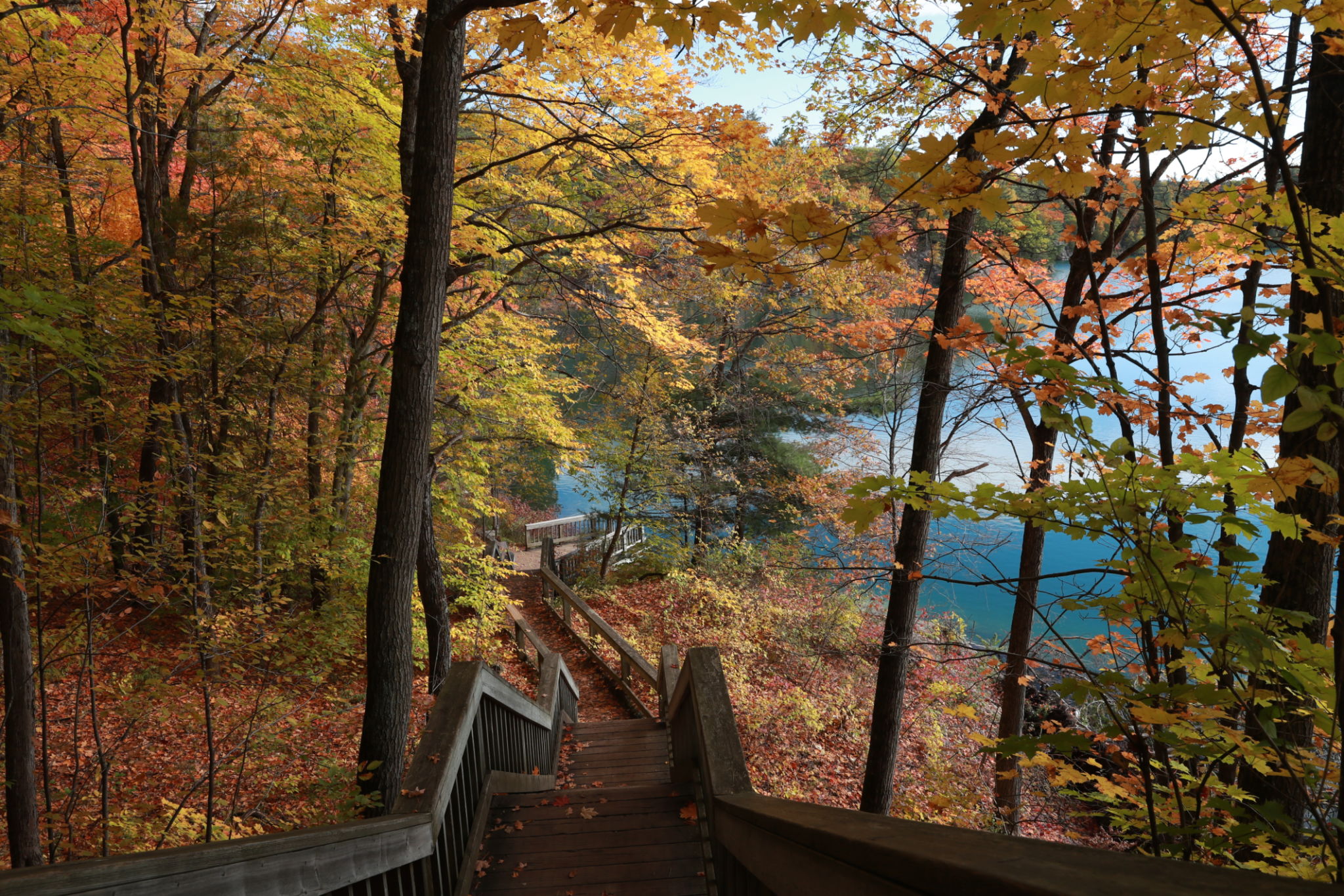 mercer county park