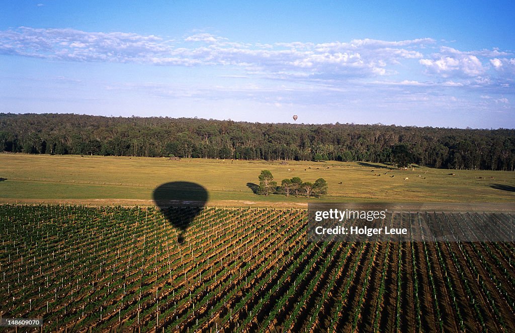 Aerial of balloon shadow on vineyard from Balloon Aloft hot air balloon.