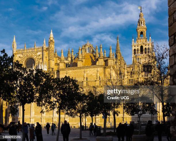 The gothic cathedral, Seville, Seville Province, Andalusia, Spain. The Giralda tower is on the upper right. Catedral de Santa Marta de la Sede,...