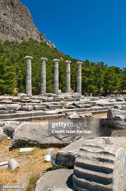 temple of athena at priene. - priene 個照片及圖片檔