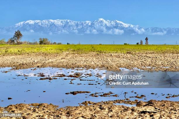 agricultural field with standing water framed by snow covered mountain range in chino california spring 2023 - chino stock pictures, royalty-free photos & images