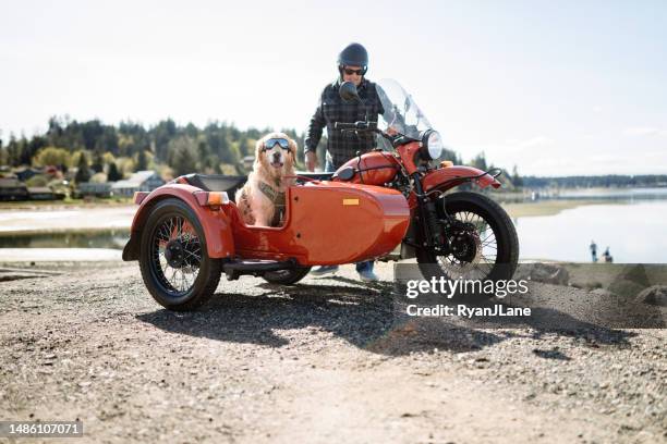 man and dog ride in vintage sidecar motorcycle - sidecar stock pictures, royalty-free photos & images