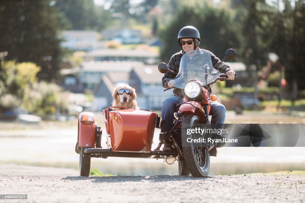 Mann und Hund fahren im Oldtimer-Beiwagen-Motorrad