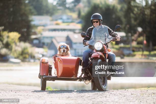 balade d’homme et de chien en moto side-car vintage - lunettes de pilote de course photos et images de collection