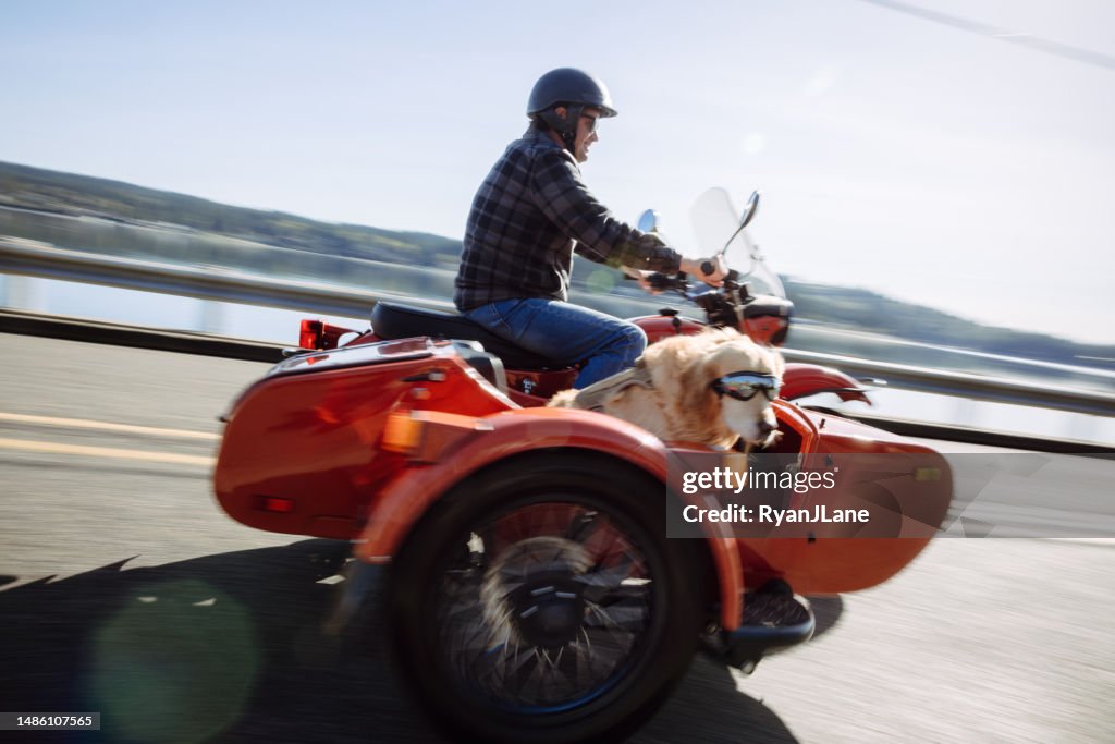 Mann und Hund fahren im Oldtimer-Beiwagen-Motorrad