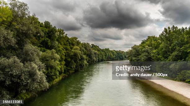 scenic view of river amidst trees against sky,germany - andy dauer stockfoto's en -beelden