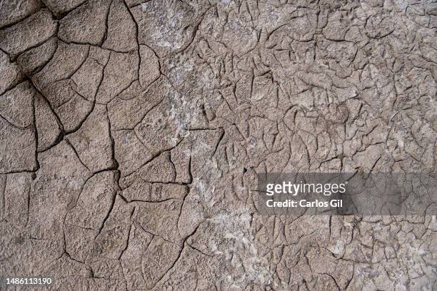 Bird footprints, and feathers embedded in the cracked soil of the dry lagoon on April 28, 2023 in Fuente de Piedra, Spain. Due to the lack of...