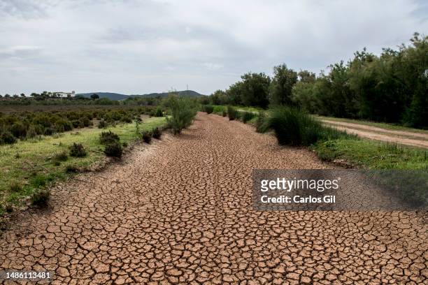 Dry stream, next to the Laguna de Fuente de Piedra also dry and covered with salt due to the drought on April 28, 2023 in Fuente de Piedra, Spain....