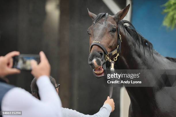 Jace's Road is photographed as he is washed in the barn area during the morning training for the Kentucky Derby at Churchill Downs on April 28, 2023...