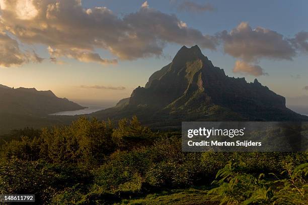 mt rotui and opunohu bay during sunset. - moorea stock pictures, royalty-free photos & images