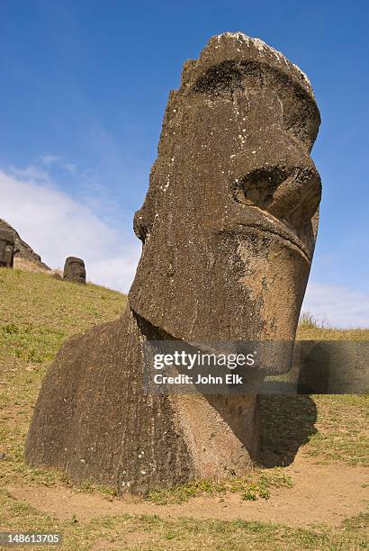 rano raraku moai statues. - rano raraku stock-fotos und bilder