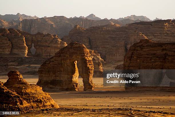 elephant rock in desert near al ula oasis. - suadi arabia bildbanksfoton och bilder