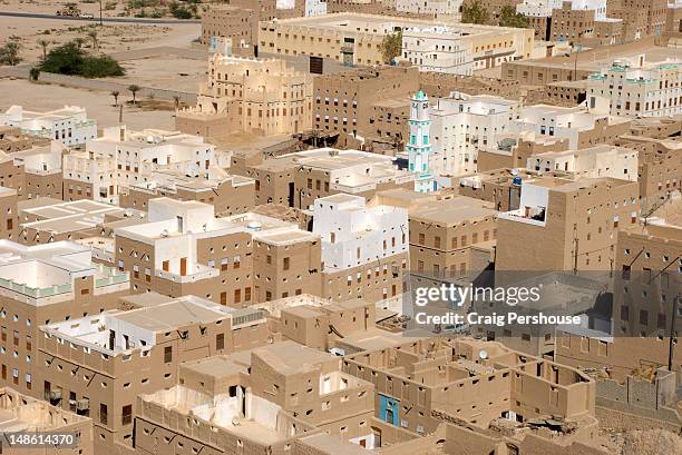 tower houses and mosque minaret in sahil shibam. - shibam stockfoto's en -beelden