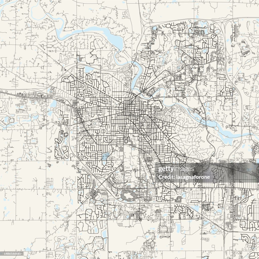 Ann Arbor, Michigan, USA Vector Map