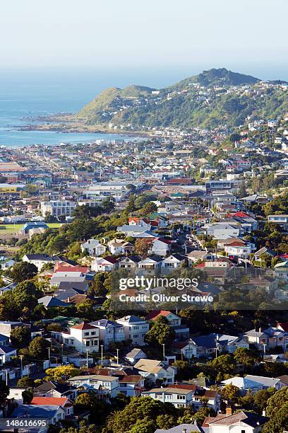 lyall bay from mt victoria. - wellington nz fotografías e imágenes de stock