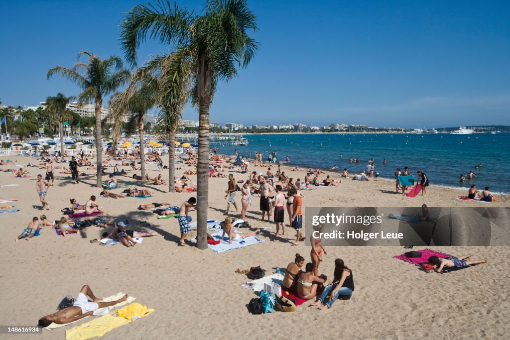 Catch Some Rays People Sunbathing On Beach High-Res Stock Photo - Getty Images
