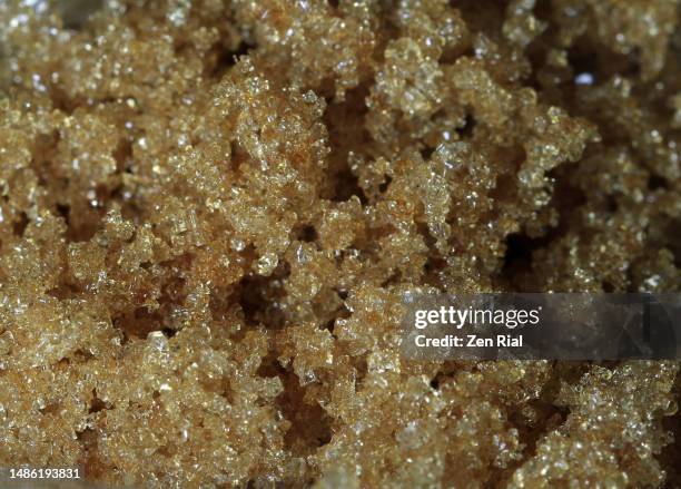 close up of granulated brown sugar in full frame - molasses fotografías e imágenes de stock
